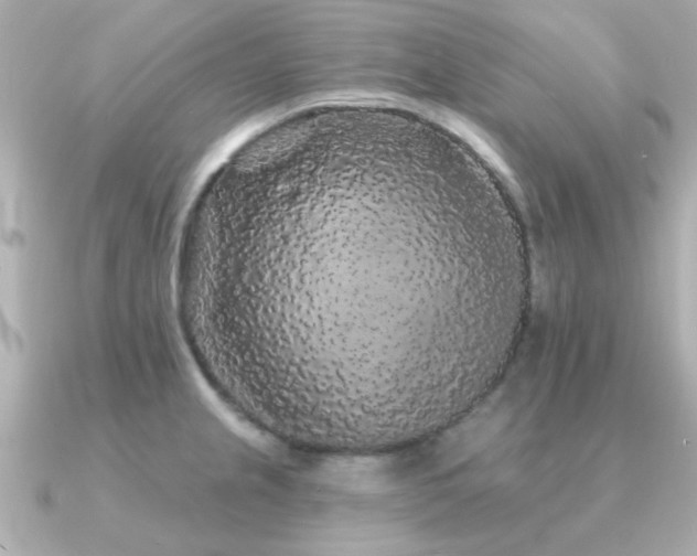 X0000091331237200708101420
