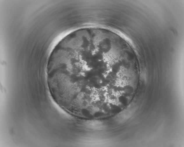 X0000091331239200708101420