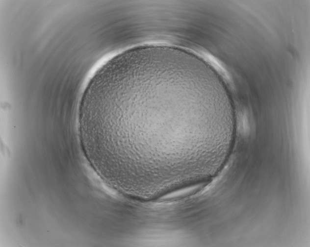 X0000091331240200708101420