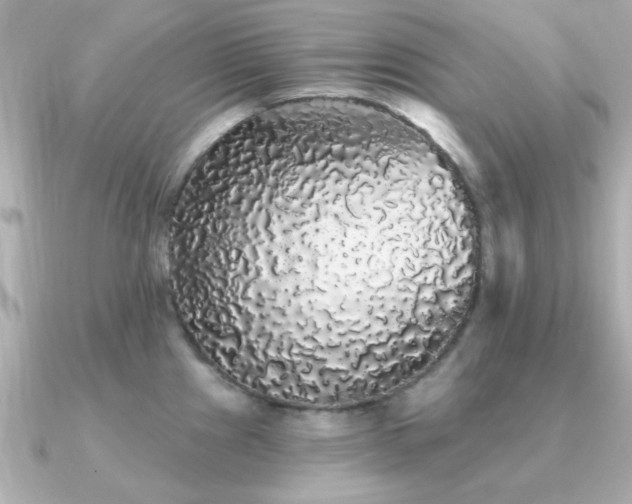 X0000091331241200708101420