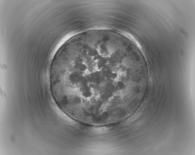 X0000091331243200708101420