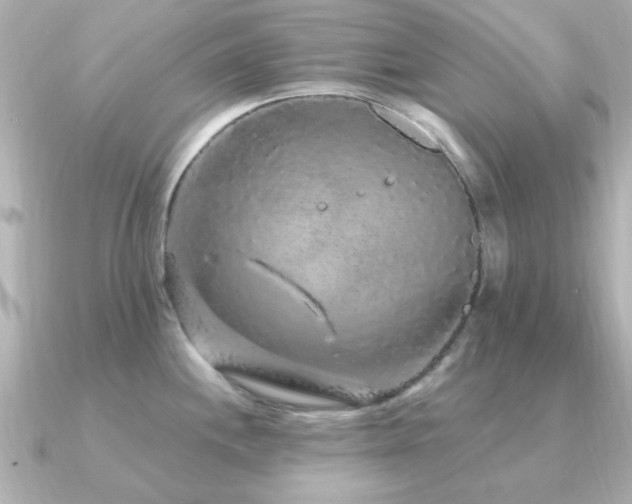 X0000091331244200708101420