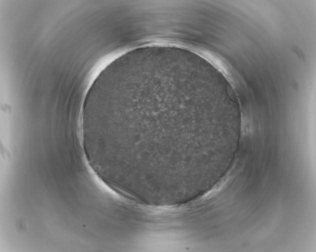 X0000091331247200708101420