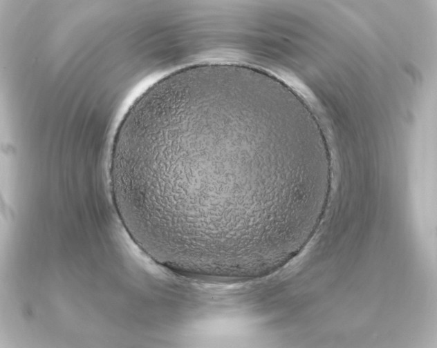 X0000091331248200708101420