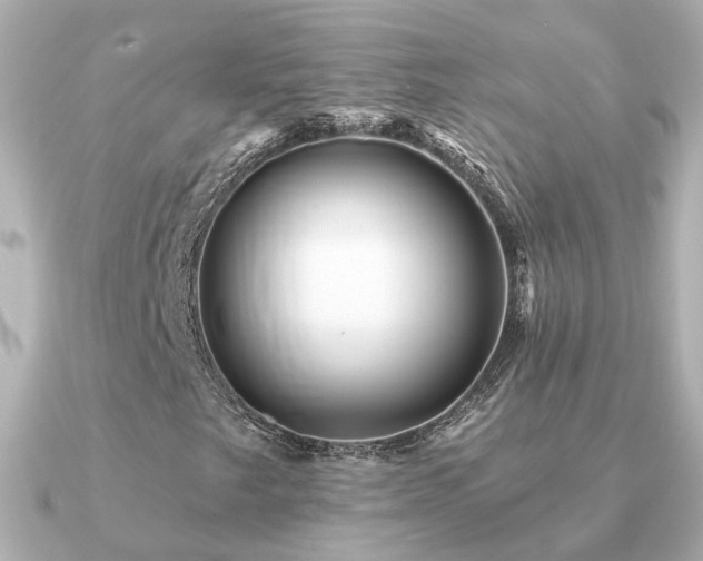 X0000091331249200708101420