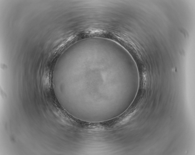 X0000091331250200708101419