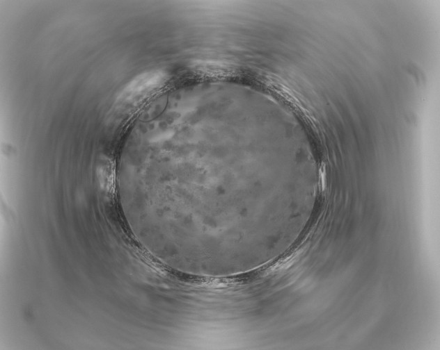 X0000091331251200708101419
