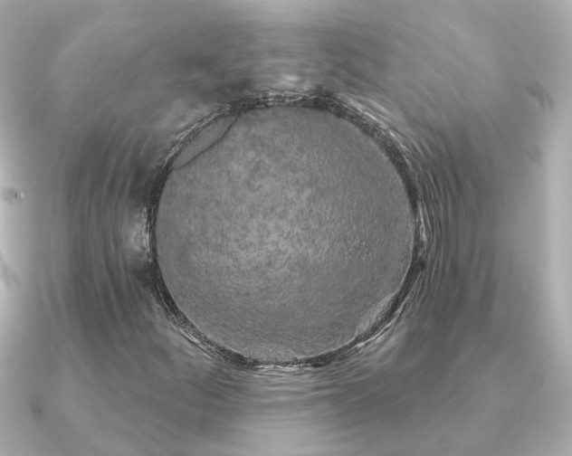 X0000091331252200708101419
