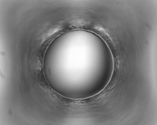 X0000091331253200708101419