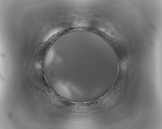 X0000091331254200708101419