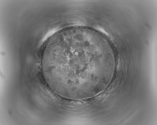 X0000091331255200708101419
