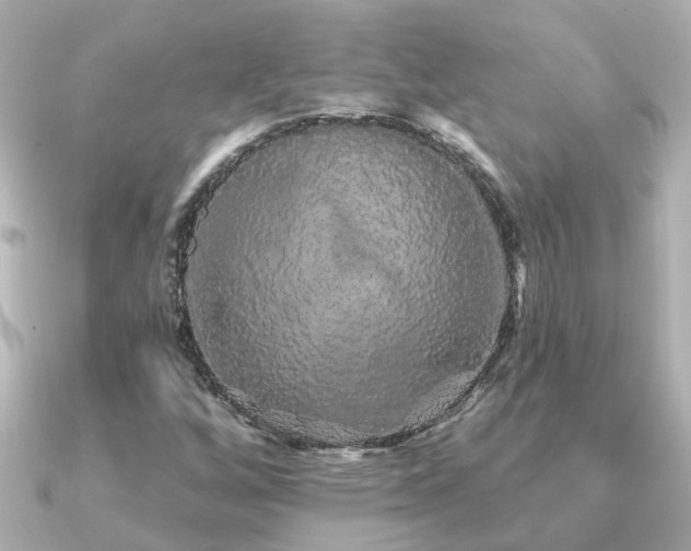 X0000091331256200708101419