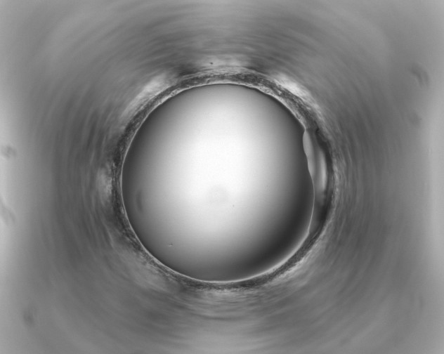 X0000091331257200708101419
