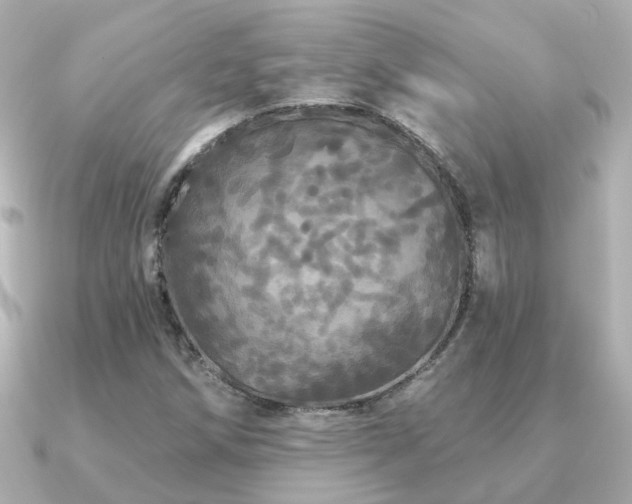X0000091331258200708101419