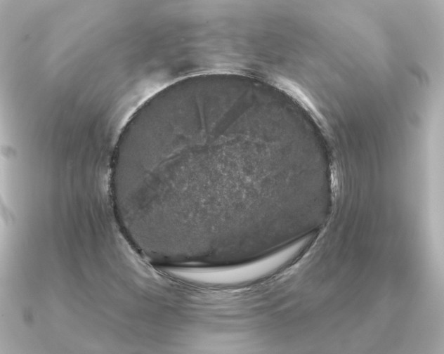 X0000091331260200708101419