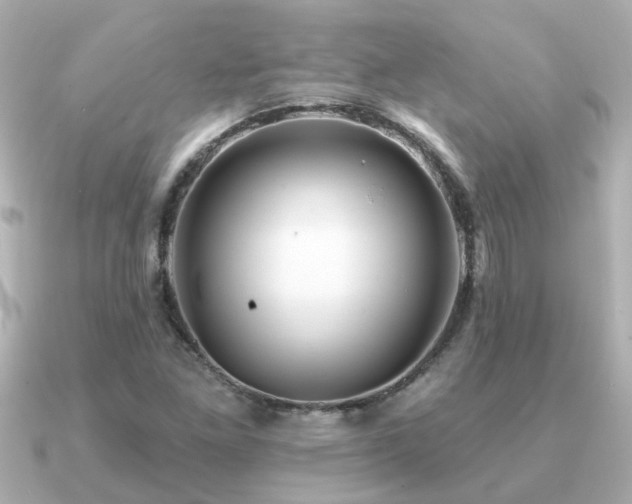 X0000091331261200708101419