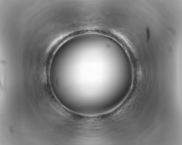 X0000091331262200708101419