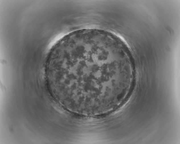 X0000091331263200708101419