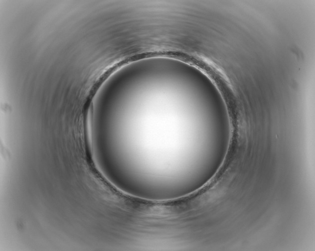 X0000091331265200708101419