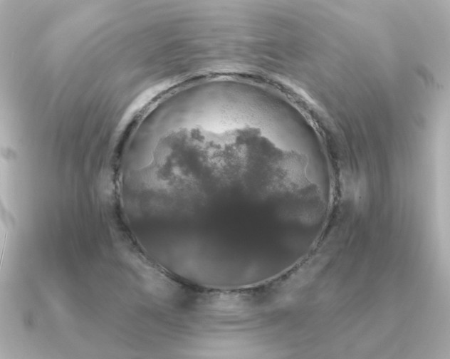 X0000091331266200708101419