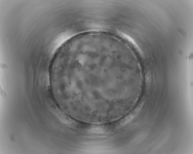 X0000091331267200708101419