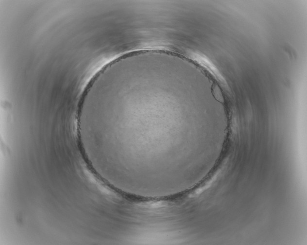X0000091331268200708101419