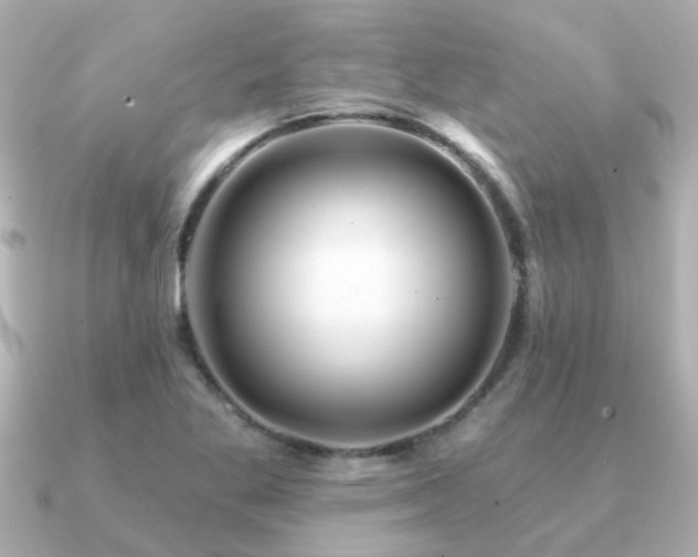 X0000091331269200708101419