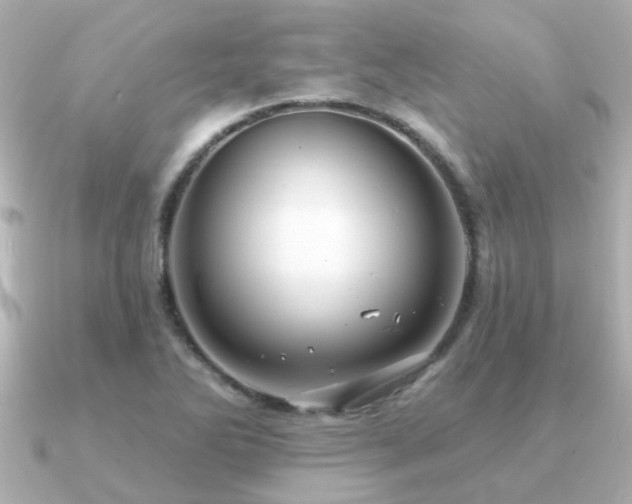 X0000091331270200708101419