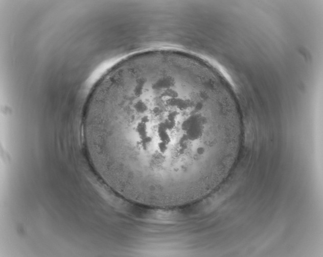 X0000091331271200708101419