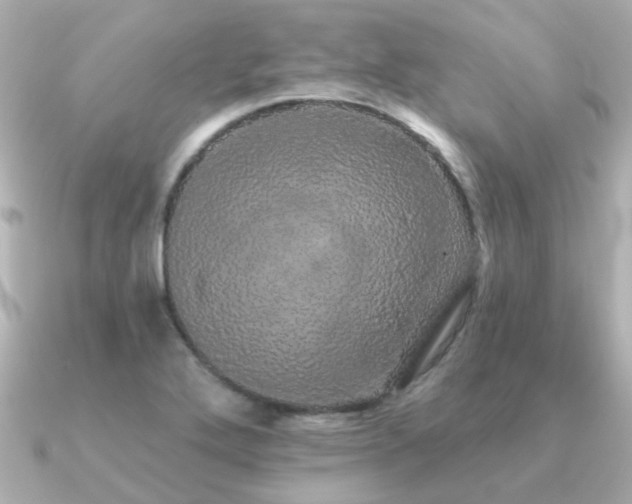 X0000091331272200708101419