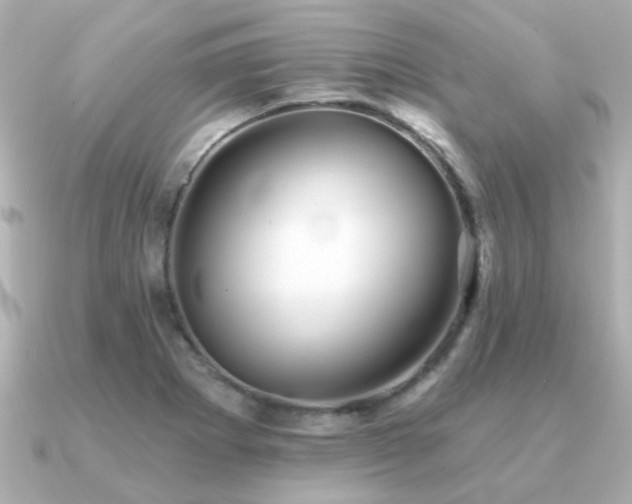X0000091331273200708101419