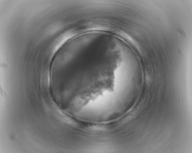 X0000091331274200708101419