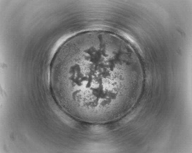X0000091331275200708101419
