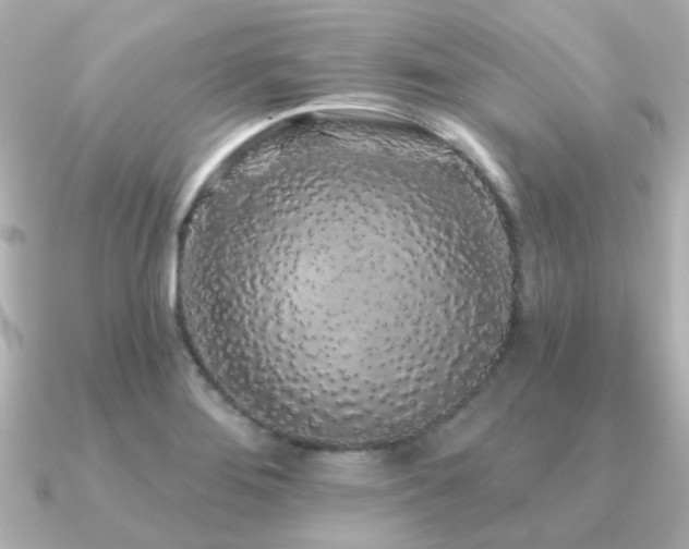 X0000091331276200708101419