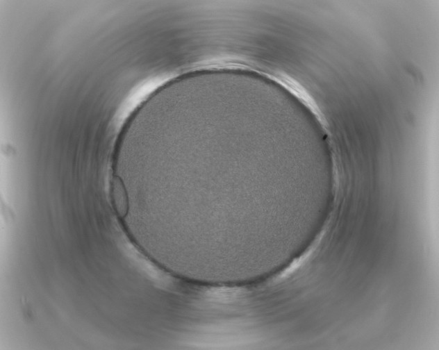 X0000091331277200708101419