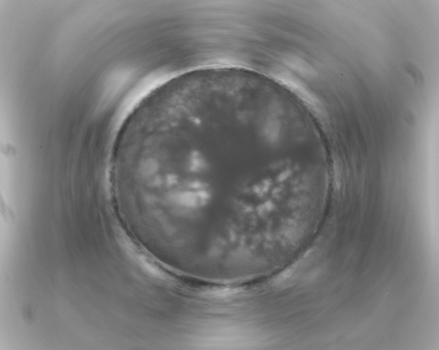 X0000091331278200708101419