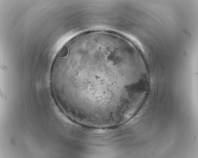 X0000091331279200708101419
