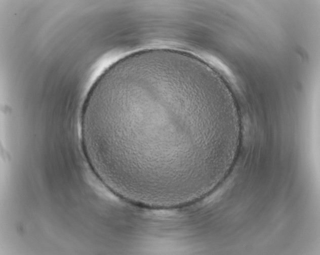 X0000091331280200708101419