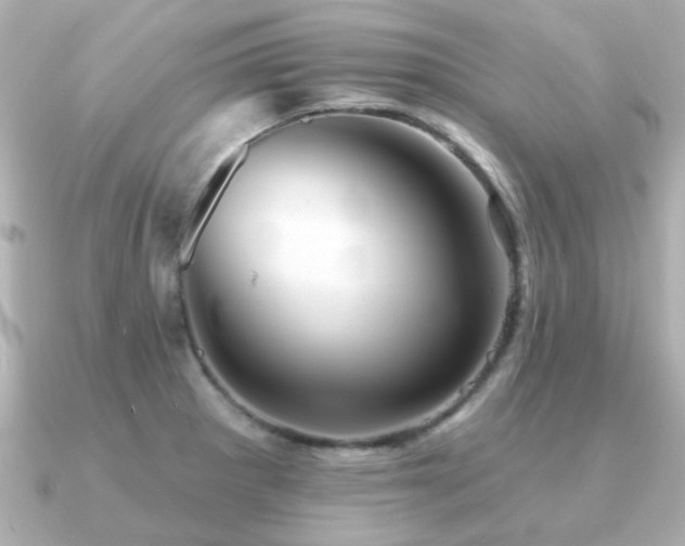 X0000091331281200708101419