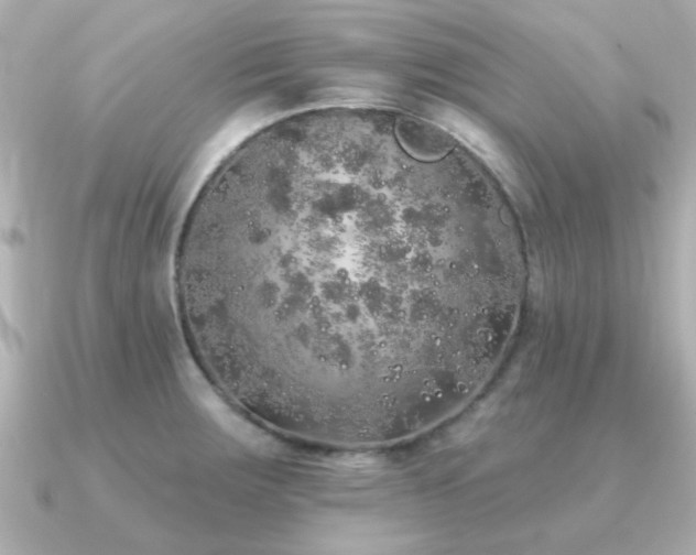 X0000091331283200708101419