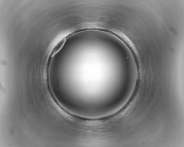 X0000091331285200708101419