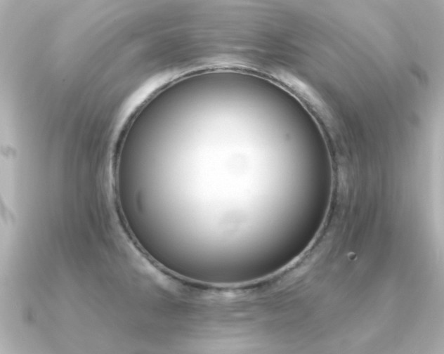X0000091331286200708101419