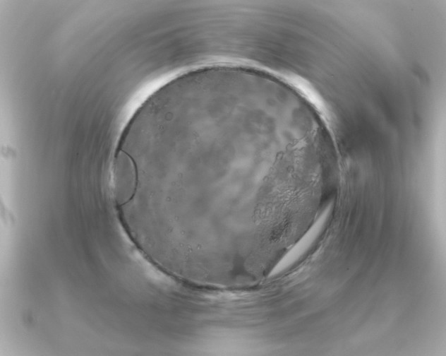 X0000091331287200708101419