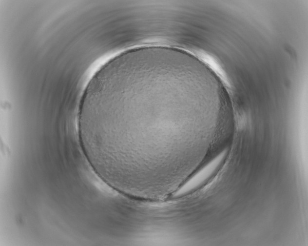 X0000091331288200708101419