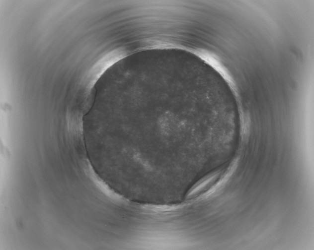 X0000091331289200708101419