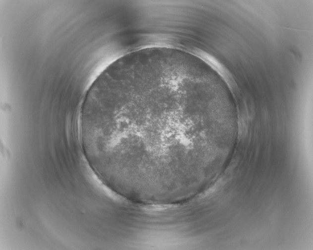 X0000091331290200708101419