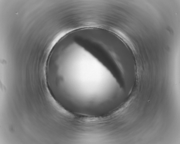 X0000091331291200708101419