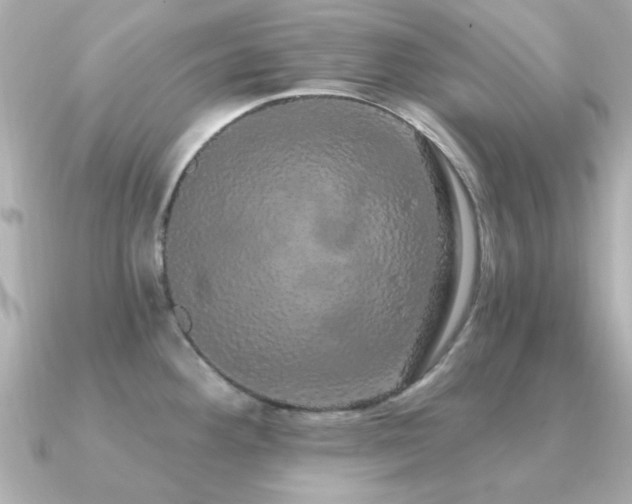 X0000091331292200708101419
