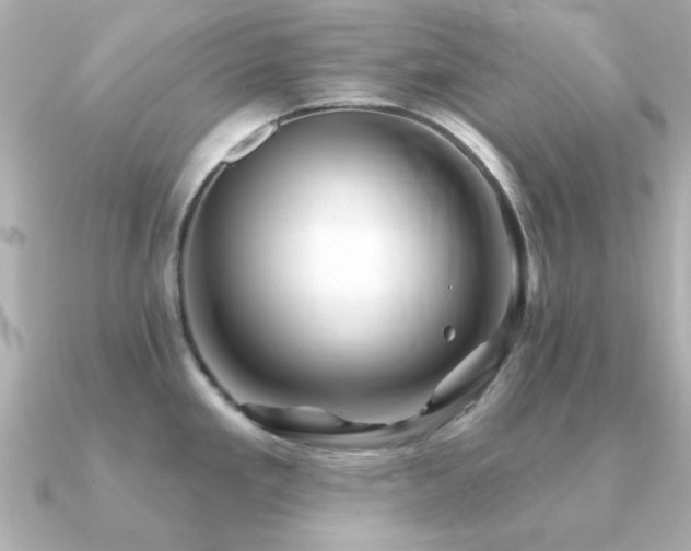 X0000091331293200708101419