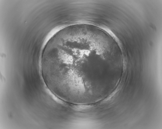 X0000091331294200708101419